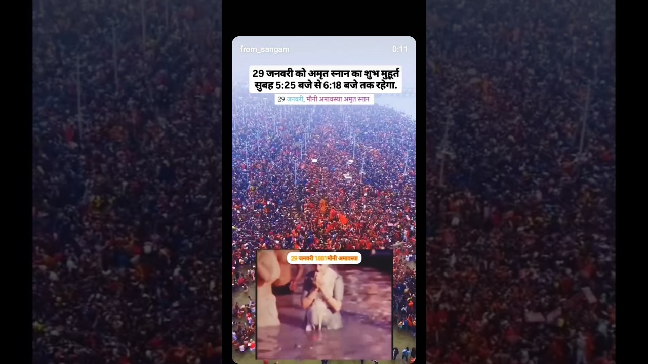 29 January ka Amrit snan #sanatan #prayagraj #paryayvachishabdinhindi #vlogsong #sanatandharma