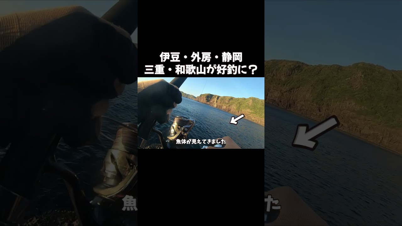 黒潮大蛇行終息が釣り人にはやばい3つの理由