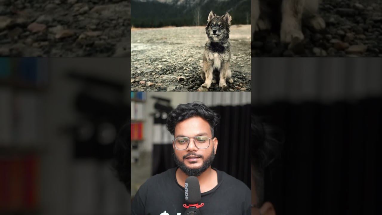 3 absolute masterpiece movies you must watch!