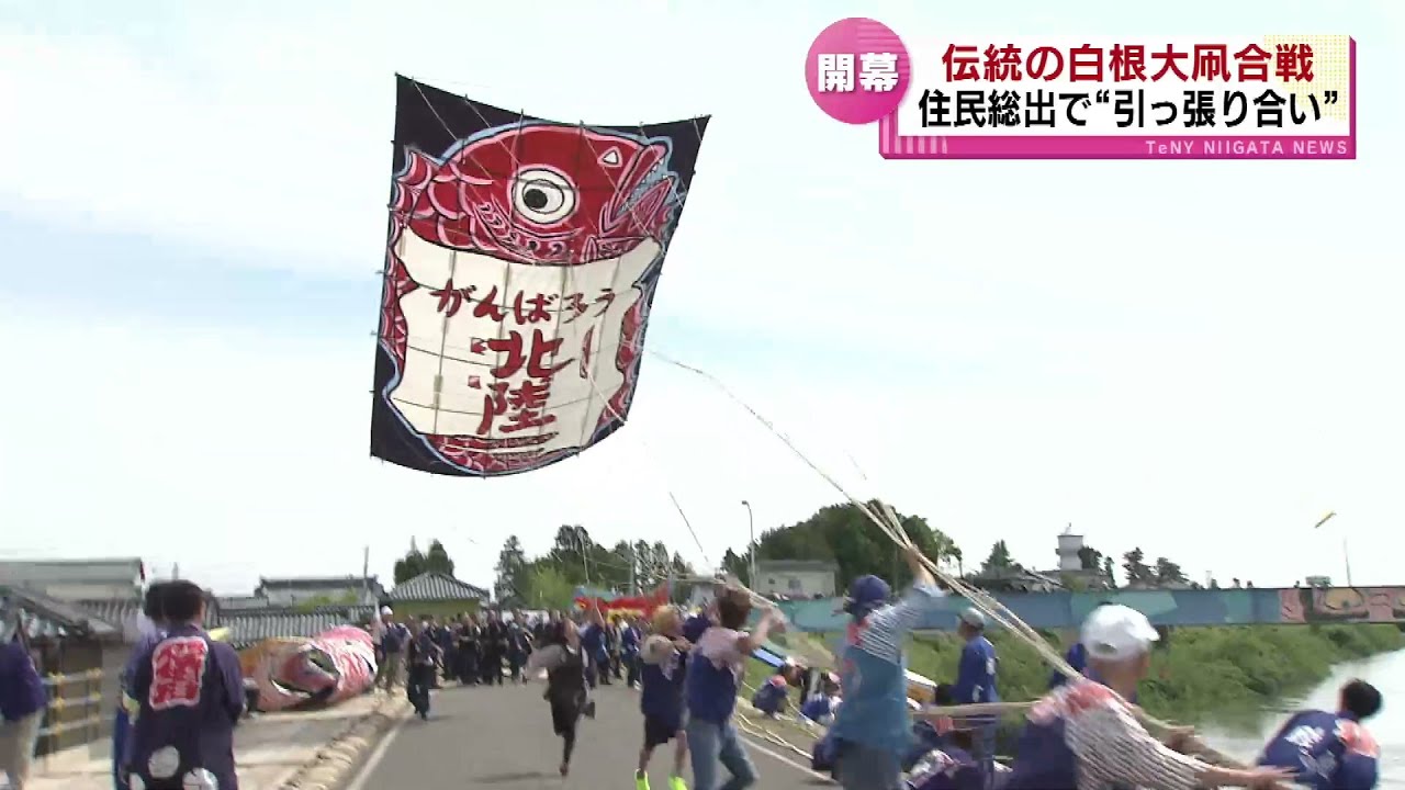 【300年の歴史】伝統の白根大凧合戦が開幕　住民総出で巨大な凧を引っ張り合い 《新潟》