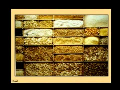 305 - Health and Happiness / Life at Its Best - Walter Veith