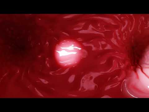 360° VR - Through a dragon