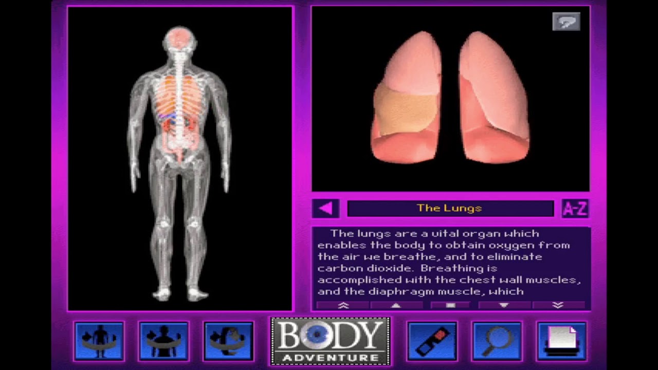 3-D Body Adventure for Windows 3.1
