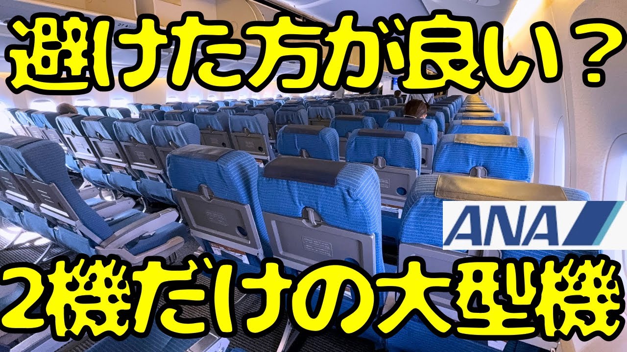 【定員400人超え‼︎】ANAが保有する飛行機で1番少ないデカ機材を利用したんだけど...