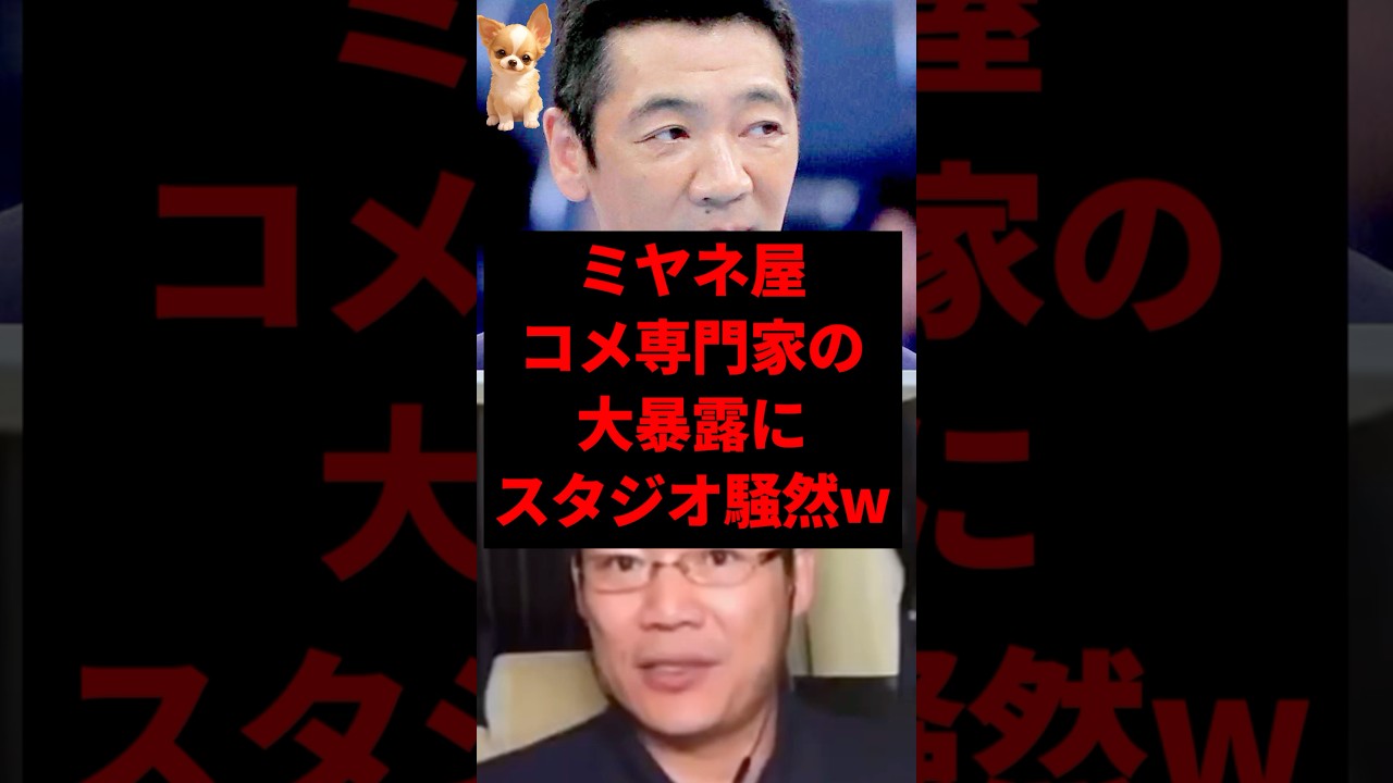 ㊗️400万再生！ミヤネ屋、コメ専門家の大暴露にスタジオ騒然w