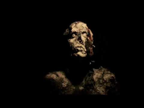 42 (2009) | Gaspar Noé