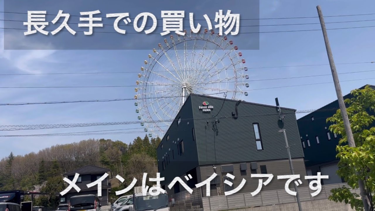 4月8日ベイシアでの買い物