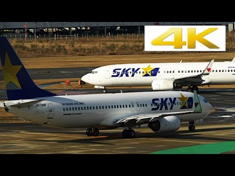 [4k] [飛行機 動画] Skymark 737-800 All fleet
