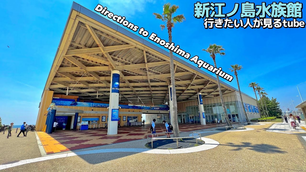 🐬【4K】新江ノ島水族館へ10分でご案内【行き方/アクセス/片瀬江ノ島駅/江ノ電江ノ島駅/江ノ島散歩風景/湘南海岸】Directions to Enoshima Aquarium