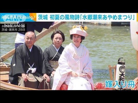茨城・潮来　水郷潮来あやめまつり　500種100万株のハナショウブやアヤメに花嫁も(2025年5月29日)