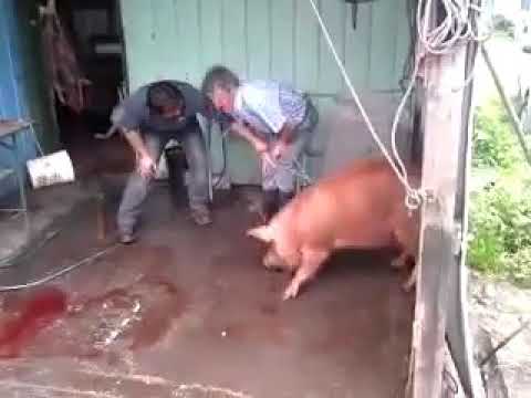 6 de septiembre de 2018