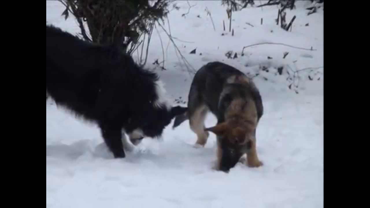 6 Months Growing Up Fran.wmv