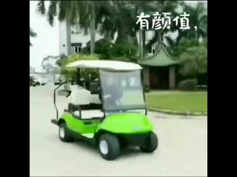60 units Lvtong golf cart fleet delivery