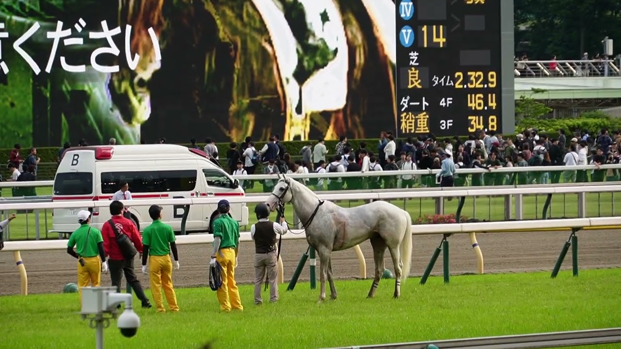 6/1　目黒記念　ハヤヤッコ　競走中止