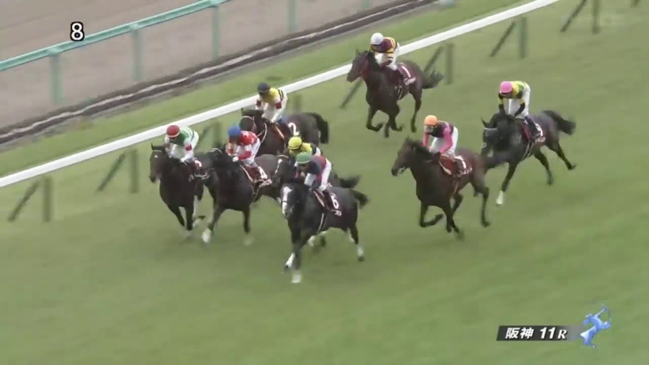 第67回【神戸新聞杯】サートゥルナーリア