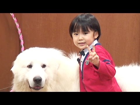 7歳の天才子役・寺田心くんが魅せる超一流のトーク力に注目！