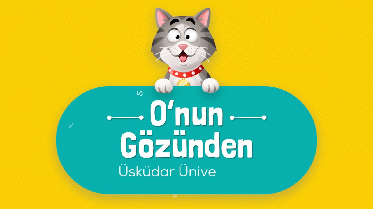 7 Şubat Dünya Kediler Günü kutlu olsun 😽