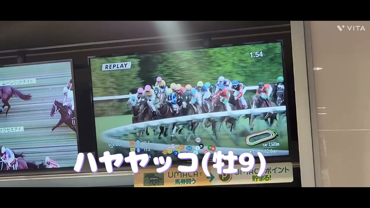 ハヤヤッコ(牡9) 無事であってほしい…追記、続報 右前浅屈腱不全断裂(JRA HPより)