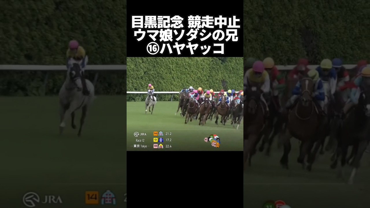 白毛ハヤヤッコ9歳が武豊と北村友一ダービーの話題をかっさらう目黒記念