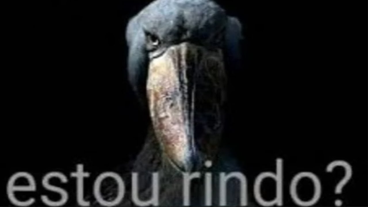 9 minuto de meme ruim