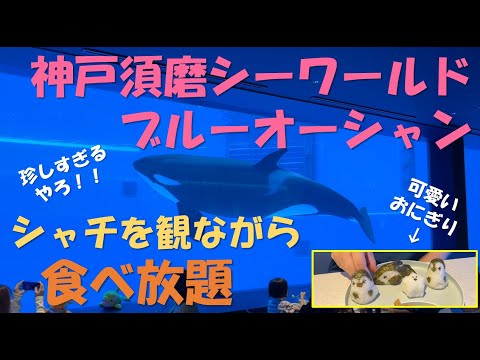 【神戸須磨シーワールド】シャチを観ながら食べ放題できるレストラン「ブルーオーシャン」。珍しい度99％。 #smdお出かけ