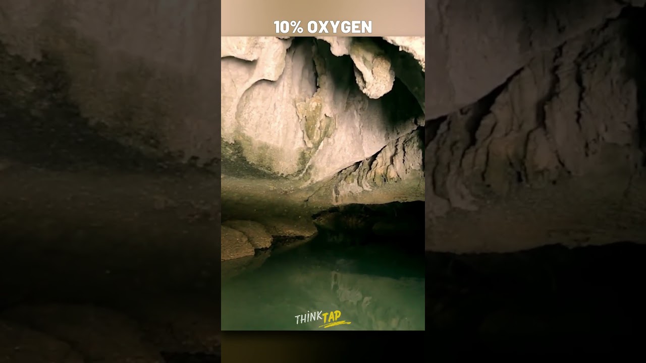 A 5 Millions Years Old Cave!