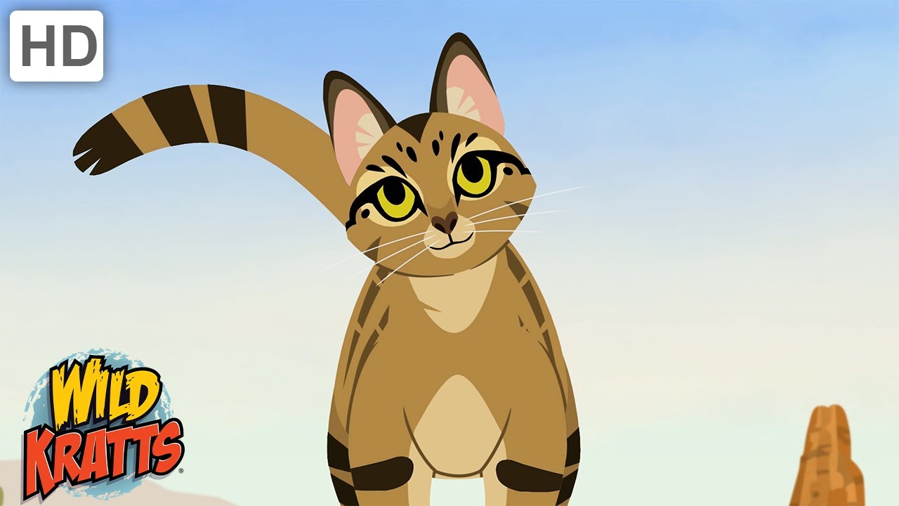 A Pet Kitty on the African Savanna!? | The African Wild Cat | Wild Kratts