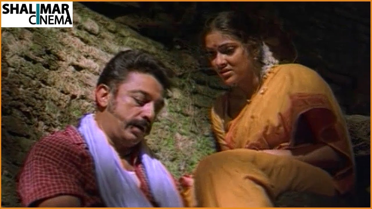 Abhirami Best Scenes Back to Back || Latest Telugu Movie Scenes || Shalimarcinema