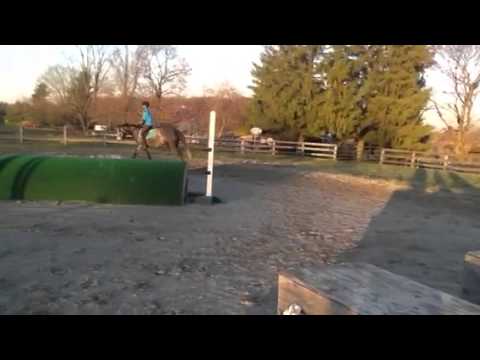 Abu rides tango