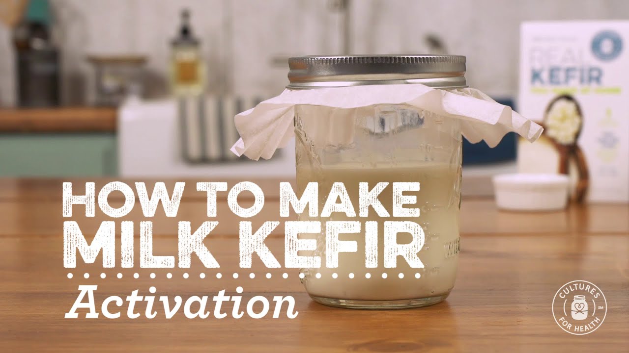 Activating Milk Kefir Grains