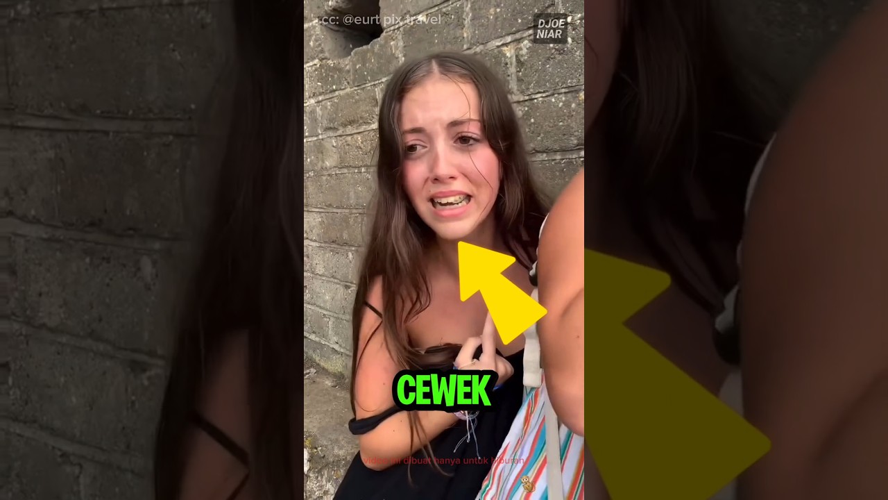 Ada monyet jatuh cinta sama cewek ini