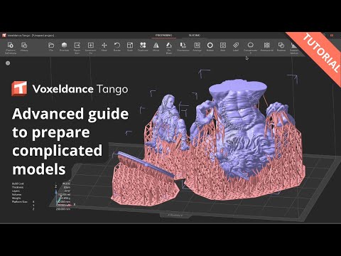 Advanced Guide to prepare complicated models in Tango slicer