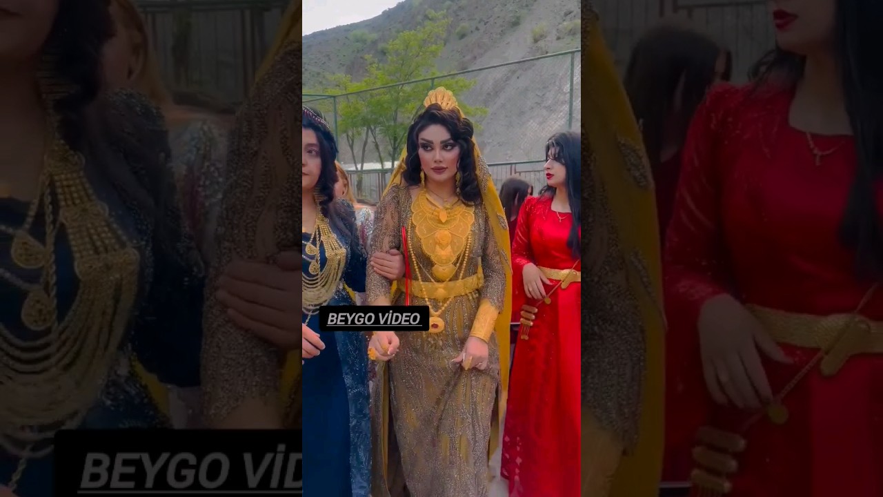 Adıyaman ailesinin gelini aşiret düğünü #shortvideo #dance #kurdish #wedding #halay#hakkari #shorts