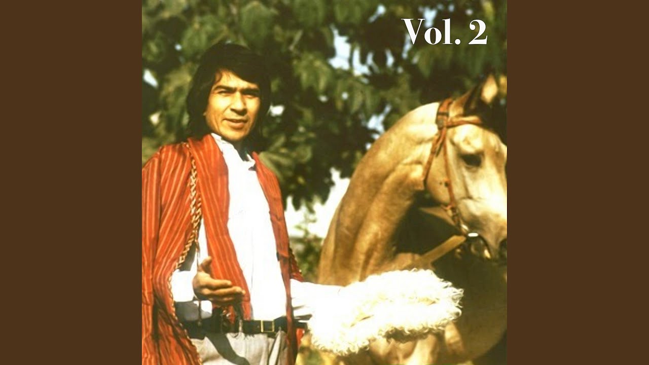 Şadyýan Gözel (Tar Version)