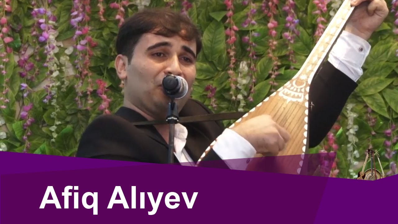 Afiq Alıyev --Mən səni görməyə gəlmişdim kəndə