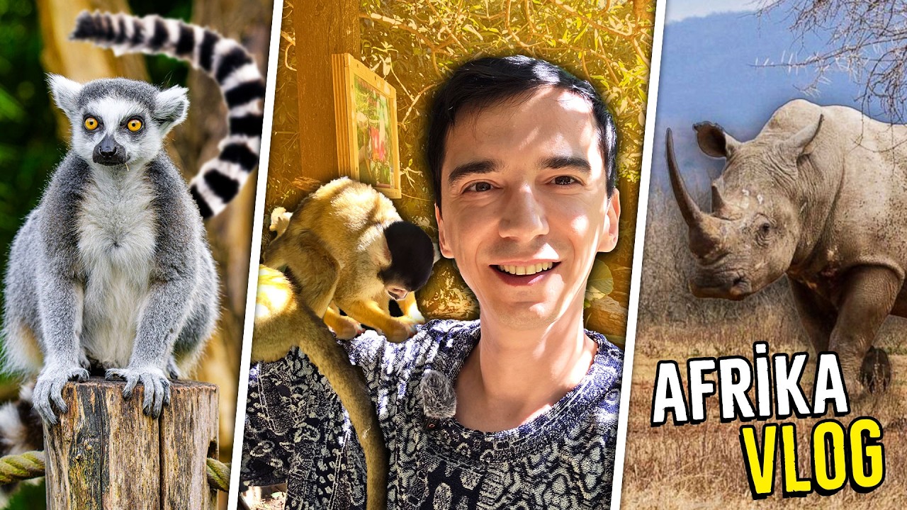 Afrika Çok Korkunç ama Çok Güzel! (Haftalık Vlog)