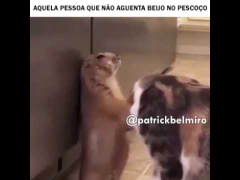 Agarra agarra😂😂😂 não pega nos peito não que ela é moça rapaz😂😂😂😂😂