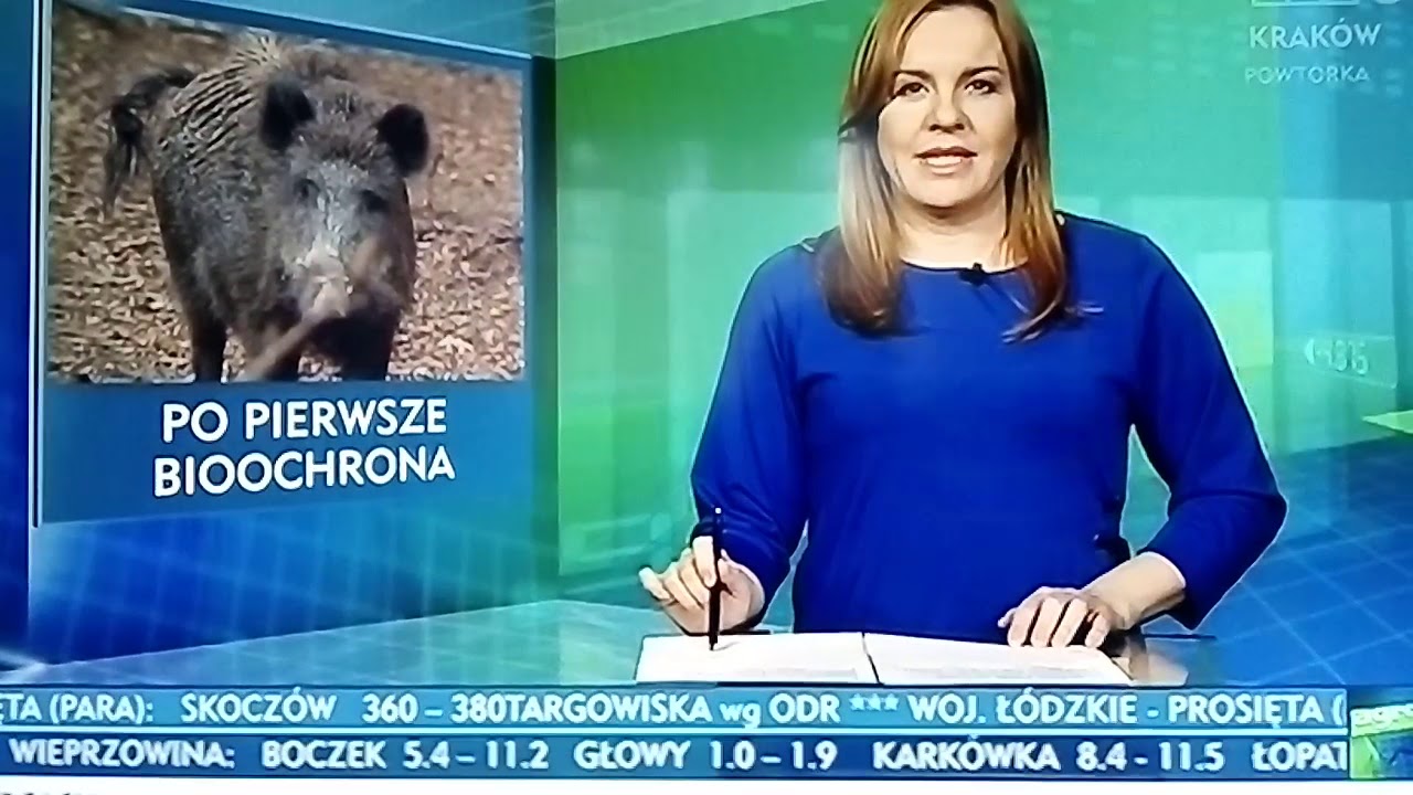 Agrobiznes