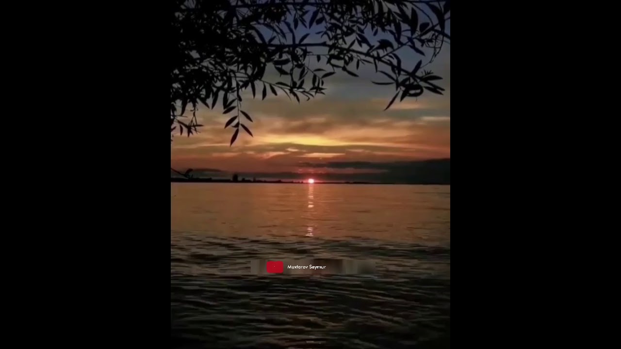 Ahmet Kaya Söyle status üçün video gözel menzere