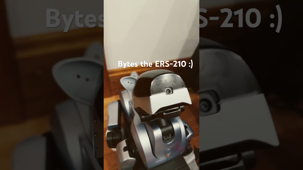 Aibo ERS-210 :)