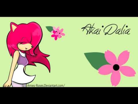 Akaidalia tributo