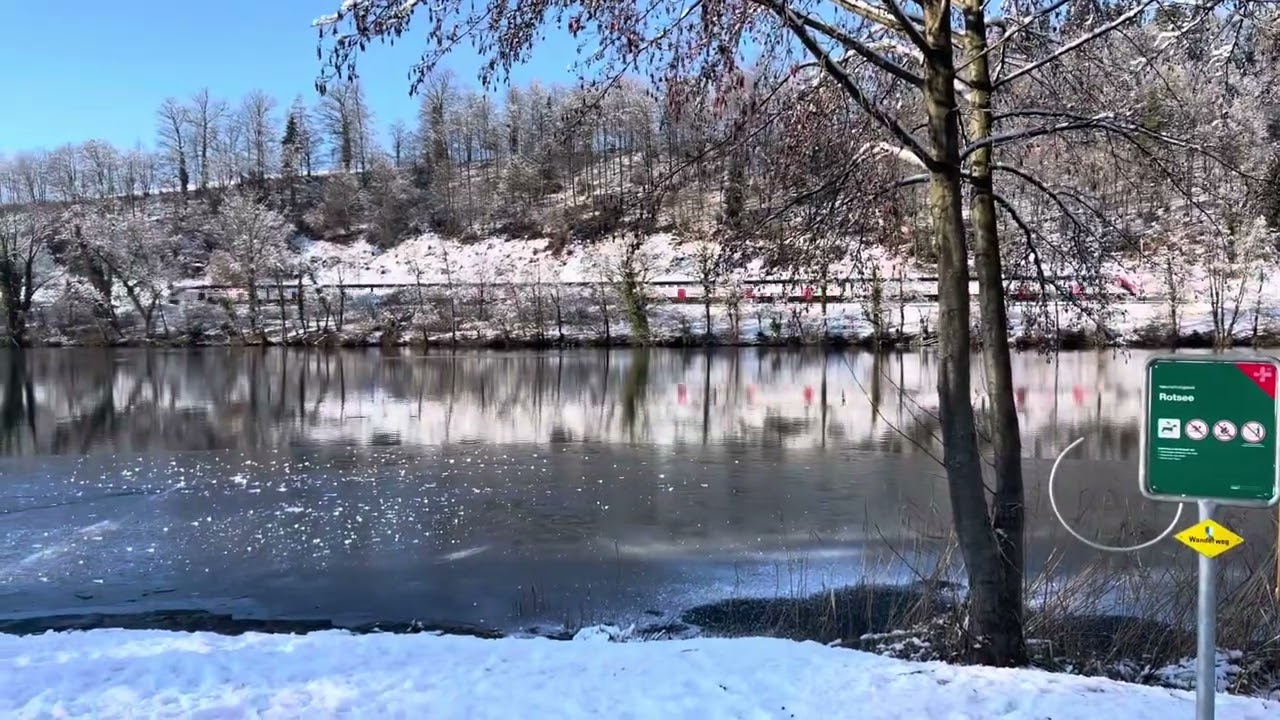 Şakiro · Mem'e Ezim Zin'e Tuye