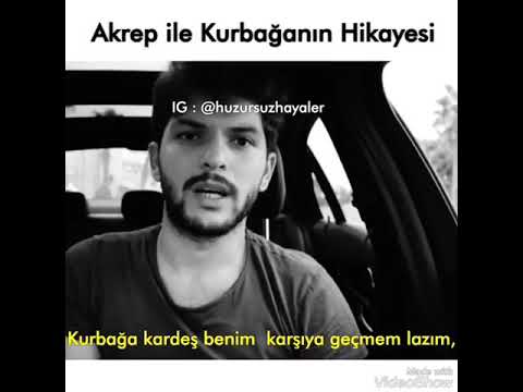 Akrep İle Kurbaganın hikayesi