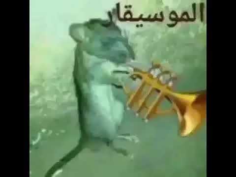 Al Mosiqar Type Beat - الفأر الموسيقار ريميكس  - TikTok version | 1 hour