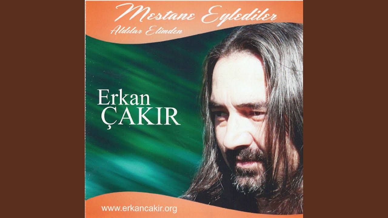 Aldılar Elimden