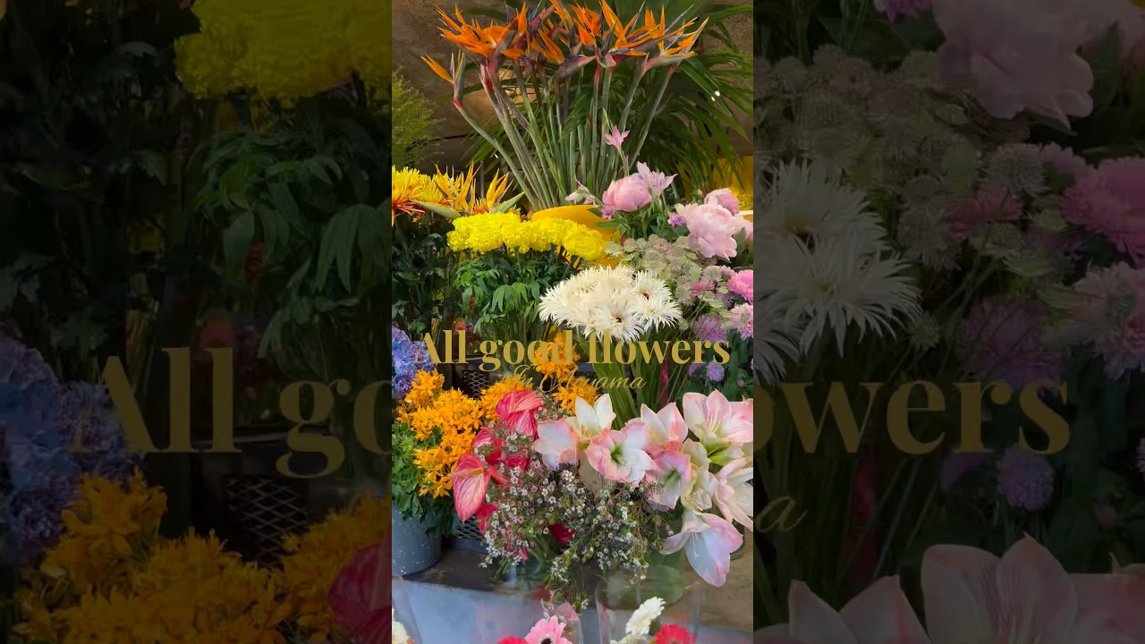 All good flowers #aoyama #allgoodflowers #flowers #flower #お花屋さん ##花のある生活 #花のある暮らし #花屋さん #青山 #spring