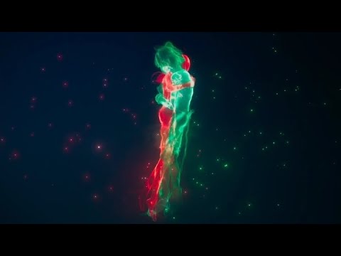 all ladynoir scenes in the miraculous ladybug movie awakening