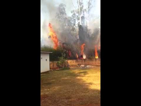 Almost burnt the house down!!