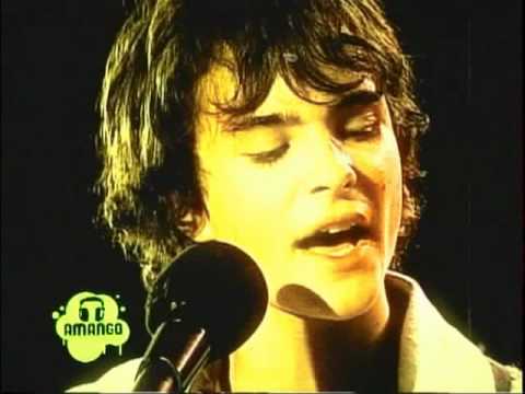 Amango / Augusto Schuster 