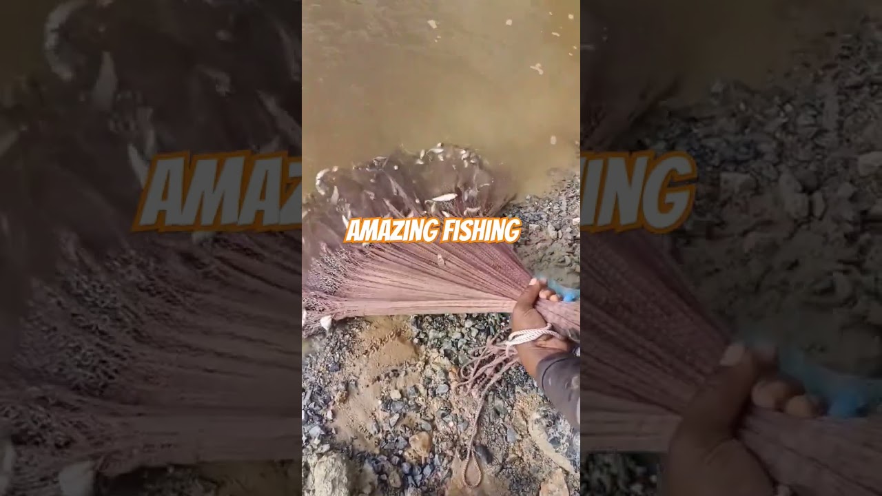 Amazing Fishing in Cambodia #fishingdaily #cambodiafishing #fishing #castnetfishing #fish
